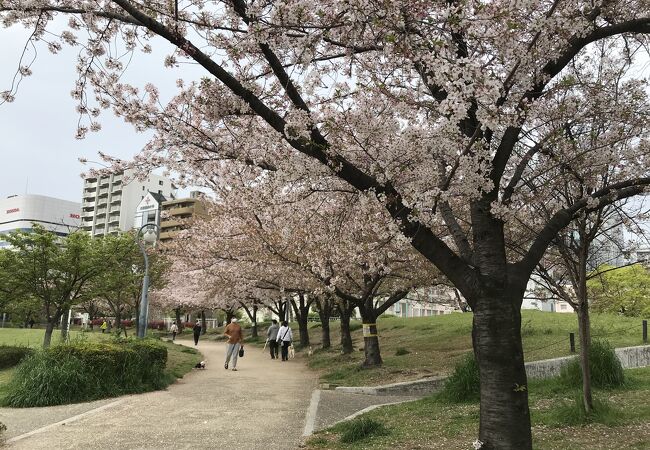扇町公園 クチコミ アクセス 営業時間 キタ 大阪駅 梅田 フォートラベル 扇町公園 クチコミ アクセス 営業時間 キタ 大阪駅 梅田 フォートラベル