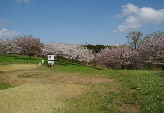 複雑な地形