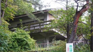 災害の時とかにも役立つように考えられたものではないかと思います