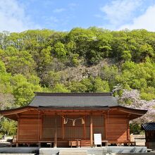 春の芽吹きに囲まれた拝殿