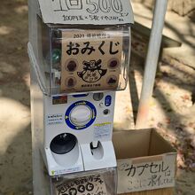 おみくじはがちゃがちゃ