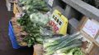 天神橋筋商店街、昔は橋だった夫婦橋、出店禁止看板前で店出してるし