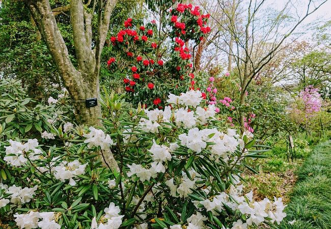 横浜市こども植物園 クチコミ アクセス 営業時間 東神奈川 保土ヶ谷 弘明寺 フォートラベル