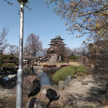 桜＆サンシュユです。