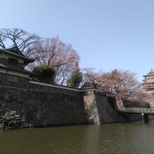お堀の桜は咲き始めでした。