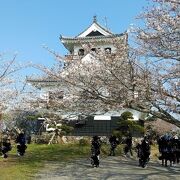 満開の桜と天守からの眺めがよかった。