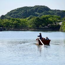 こんな風にお堀を船でまわるのも風流