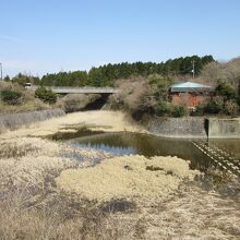 常時閉なので、水門の外側が事実上の早川の起点