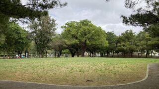 あまり手入れされていませんが休憩には良かったです