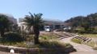 観音崎の動植物に関する展示が充実