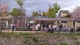 街中の都市型動物園