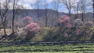 素晴らしい景色