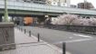 桜が咲いていてキレイでした