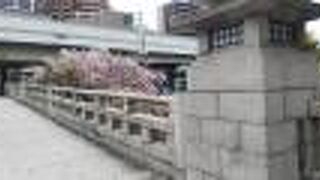 桜がキレイでした