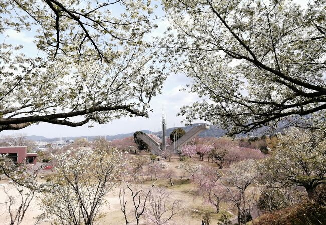 幸田しだれ桜まつり