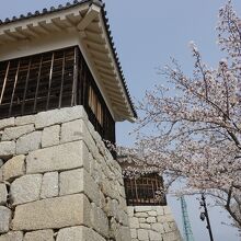 筒井門にくっついてる。ここの前の桜が綺麗。