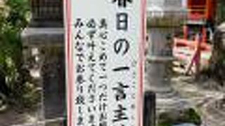 一つだけ願い事