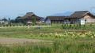 平安時代斎王宮正殿の復元