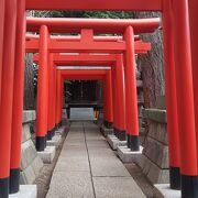 小さな鳥居がたくさん連なる美しい神社