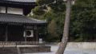 整った境内に心奪われる