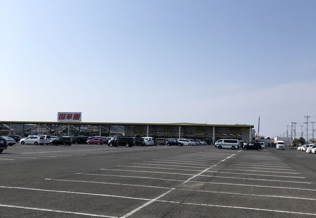 国華園 クチコミ アクセス 営業時間 和泉 泉大津 フォートラベル