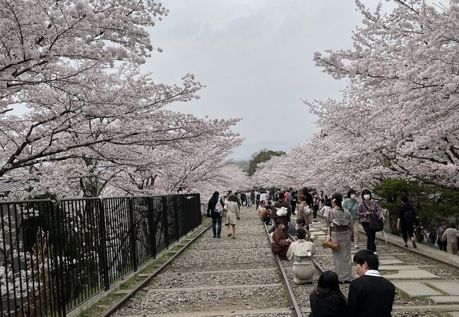 蹴上浄水場 クチコミ アクセス 営業時間 東山 祇園 北白川 フォートラベル 蹴上浄水場 クチコミ アクセス 営業時間 東山 祇園 北白川 フォートラベル