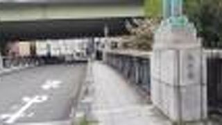 桜が少し咲いていました