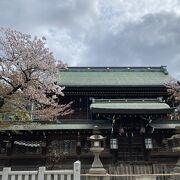 梅だけじゃなく桜もね