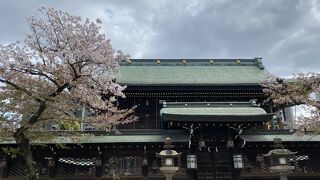 梅だけじゃなく桜もね