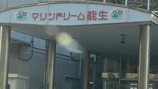 海産物の品定め