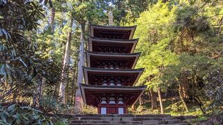 ミシュラン五つ星でもおかしくない