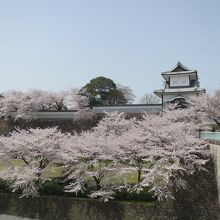 石川門橋の手前