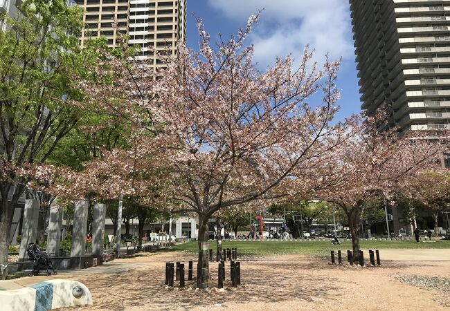 気持ちいい街の公園、六甲道駅南から六甲道南公園