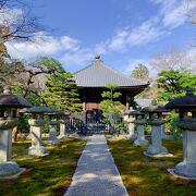 手入れされた庭園、石灯篭が素晴らしい!