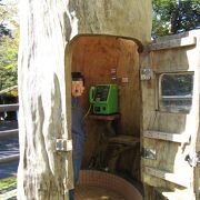 屋久杉の切株で作られた公衆電話ボックス