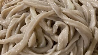 田舎うどん 力