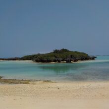 ウミガメが見れる海岸