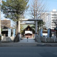 偶然に見かけたのは…