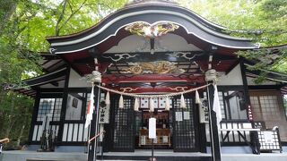 森の中に伸びる稲荷神社みたいな赤い千本鳥居