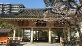 建物内の絵が見もの