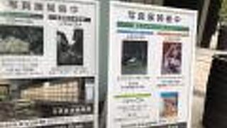 祇園の舞妓さんのお写真