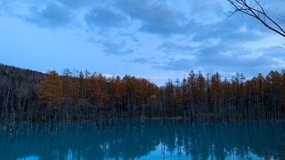 晴れた日の昼間にリベンジしたい!
