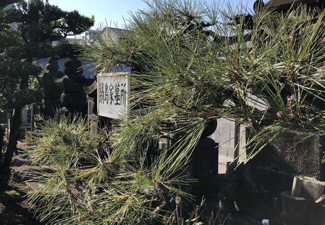 中野と鍋島家