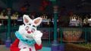 様々なカラーのティーカップ