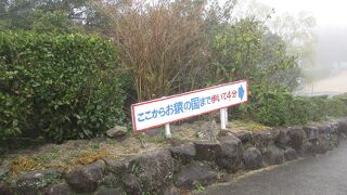 銚子渓自然動物園おさるの国