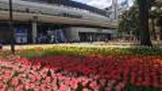 4月上旬、見頃でした。