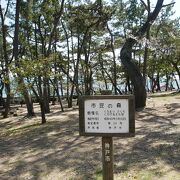 海景色を見ながら花見の須磨浦公園