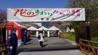 広島造幣局 花のまわりみち