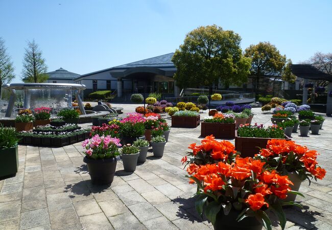 草津市立水生植物公園みずの森 クチコミ アクセス 営業時間 草津 滋賀 フォートラベル
