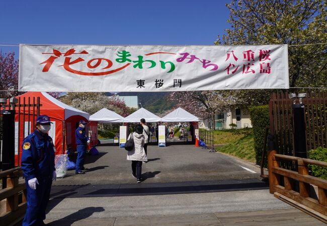 広島造幣局 花のまわりみち